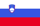 Country Specific Information - Slovenia  