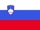 Country Specific Information - Slovenia  