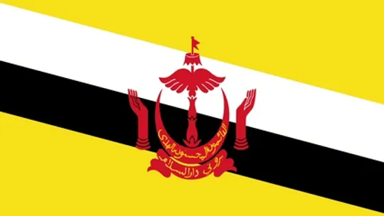 Country Specific Information - Brunei