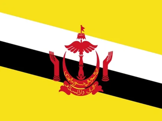 Country Specific Information - Brunei