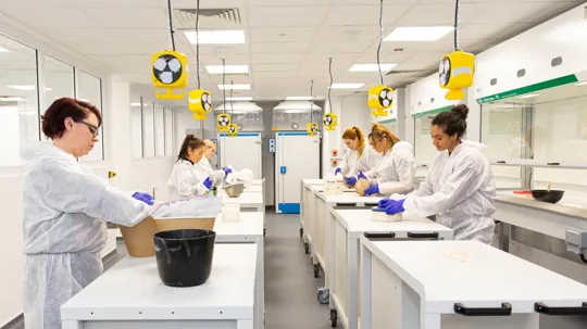 Ma Prosthetics For Film And Television Degree UCB