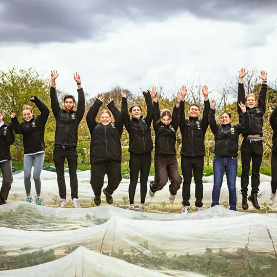 Toque d'Or competition finalists