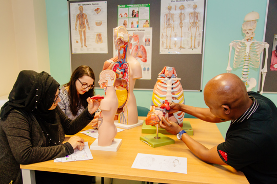 Students at the Health Hub